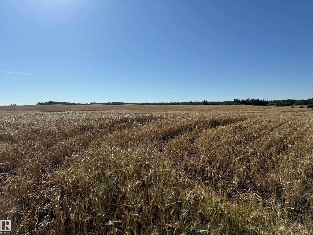 https://bt-photos.global.ssl.fastly.net/alberta/1280_boomver_1_E4505858-2.jpg