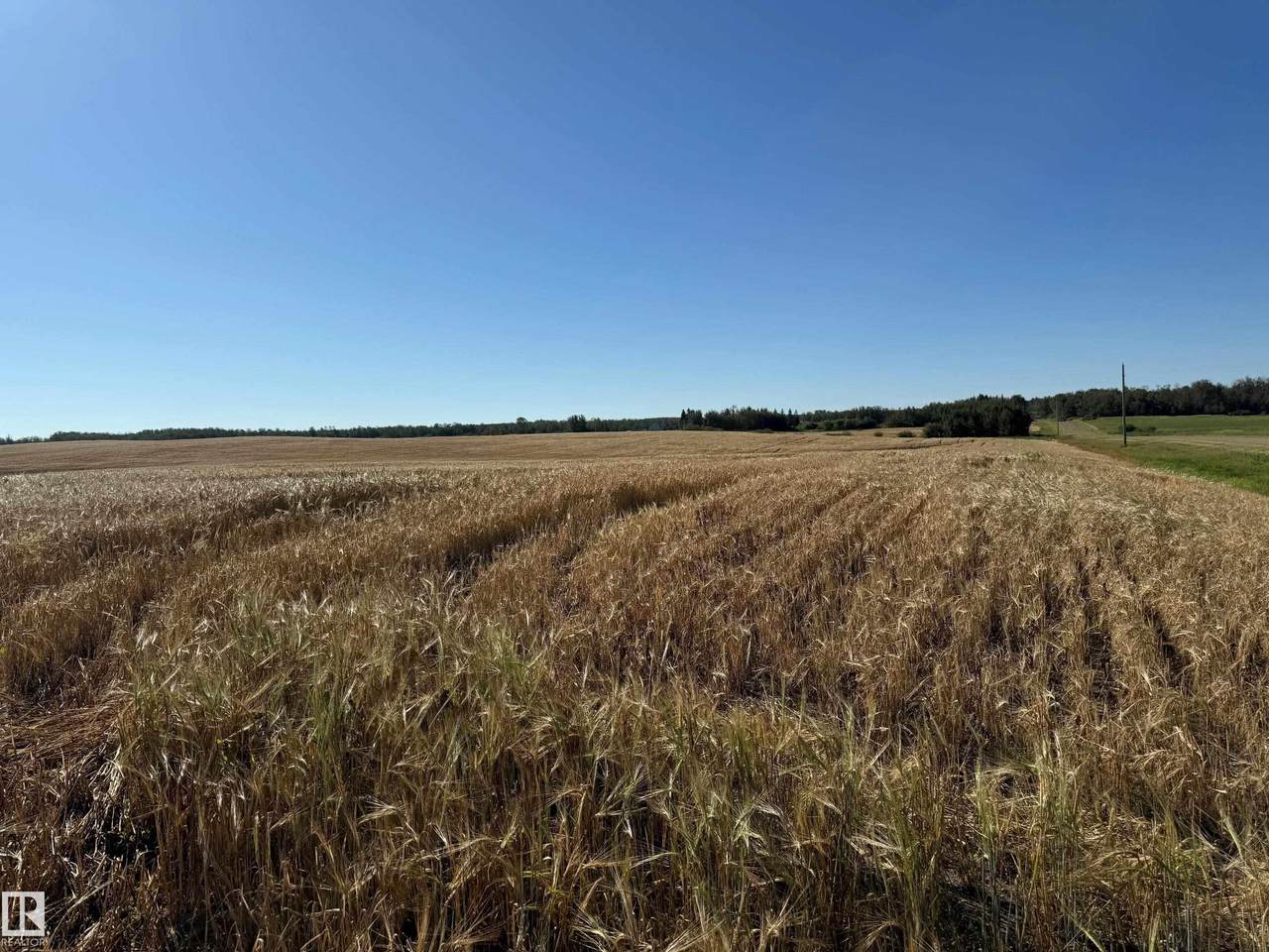 https://bt-photos.global.ssl.fastly.net/alberta/1280_boomver_1_E4505858-2.jpg