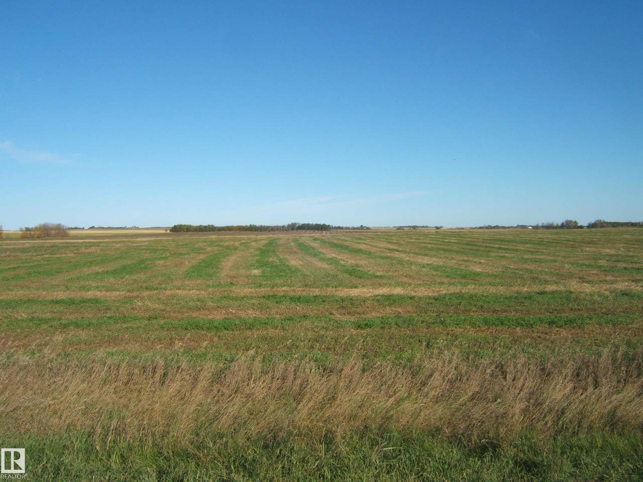 https://bt-photos.global.ssl.fastly.net/alberta/1280_boomver_1_E4509551-2.jpg