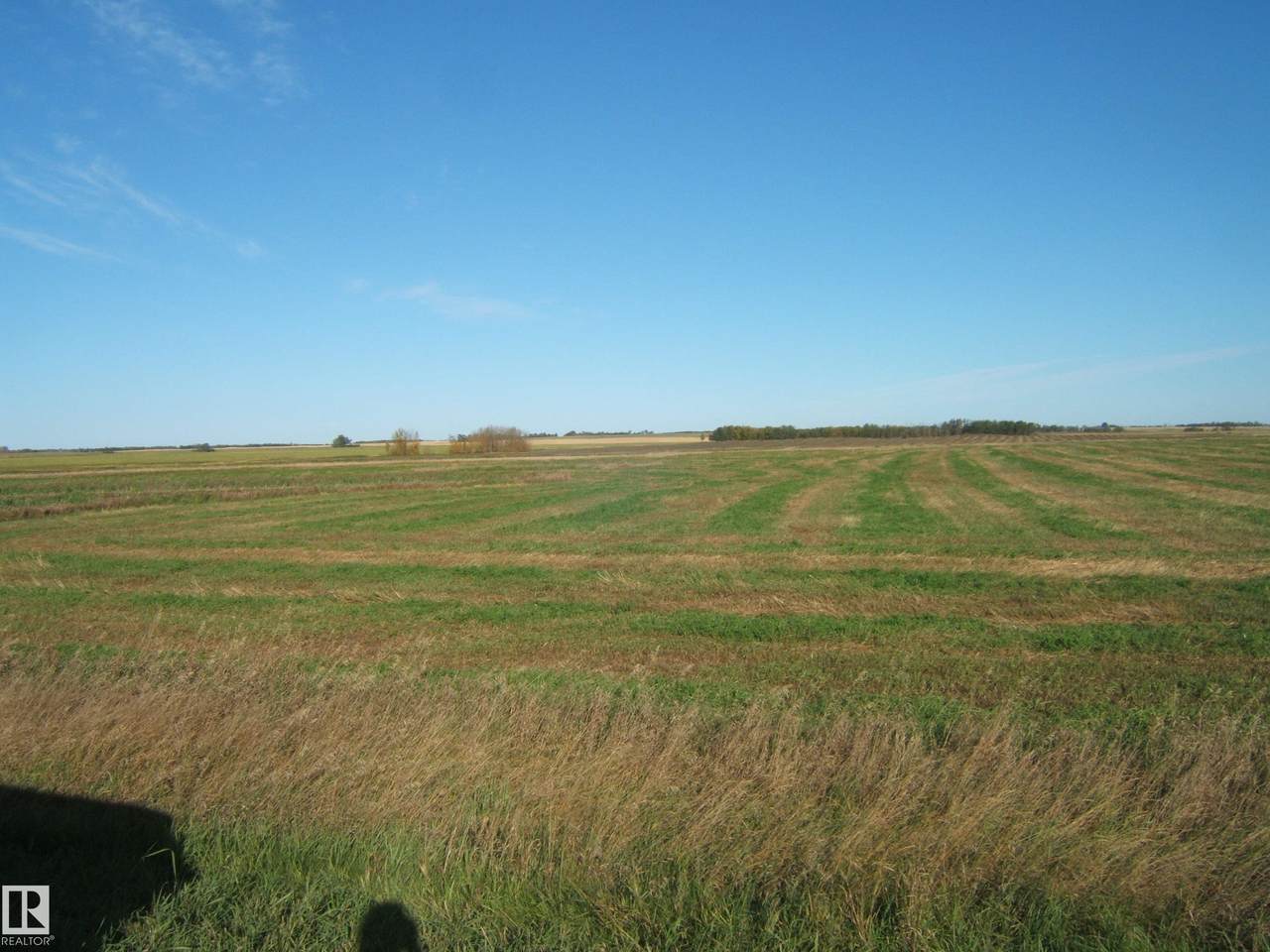 https://bt-photos.global.ssl.fastly.net/alberta/1280_boomver_1_E4509551-2.jpg