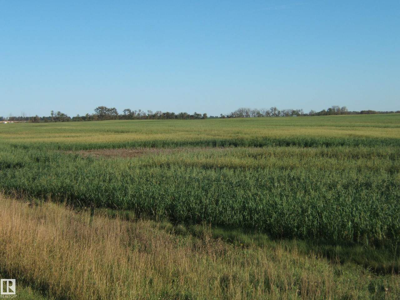 https://bt-photos.global.ssl.fastly.net/alberta/1280_boomver_1_E4509566-2.jpg
