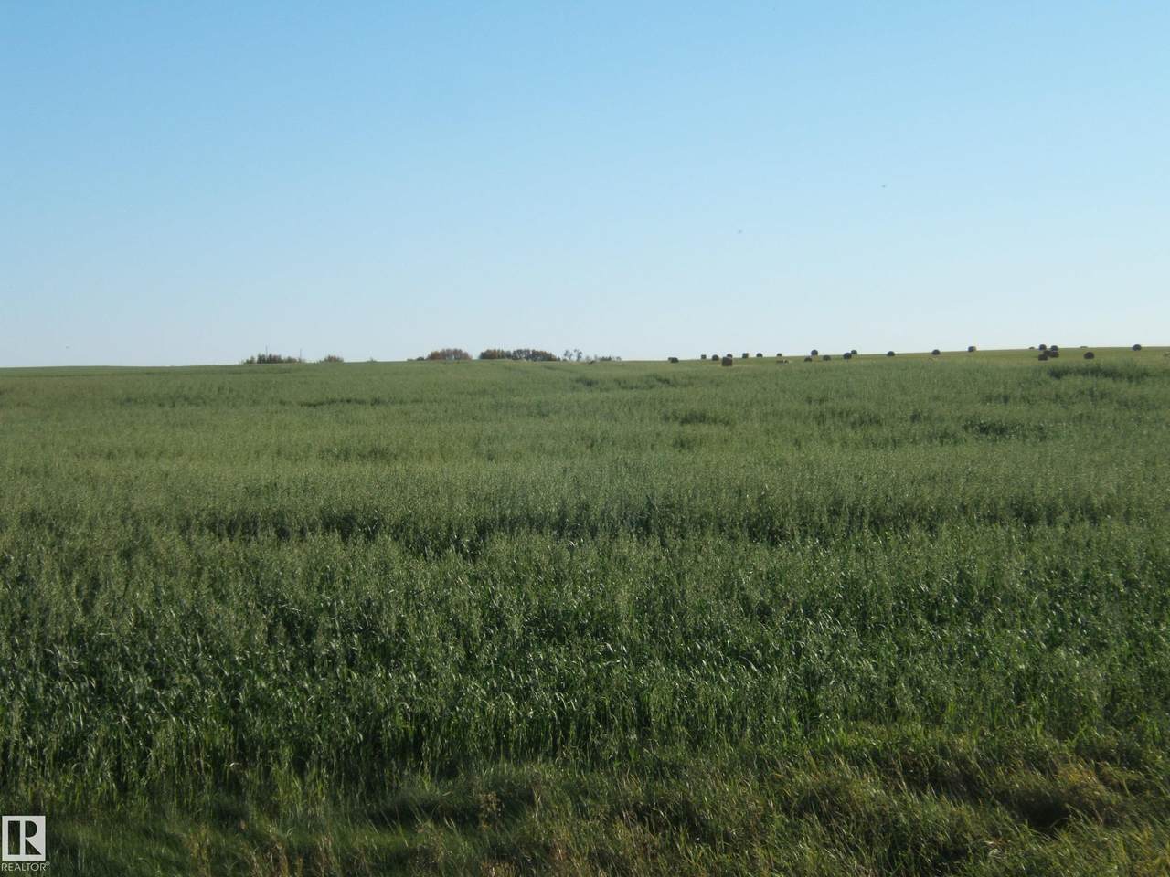 https://bt-photos.global.ssl.fastly.net/alberta/1280_boomver_1_E4509566-2.jpg