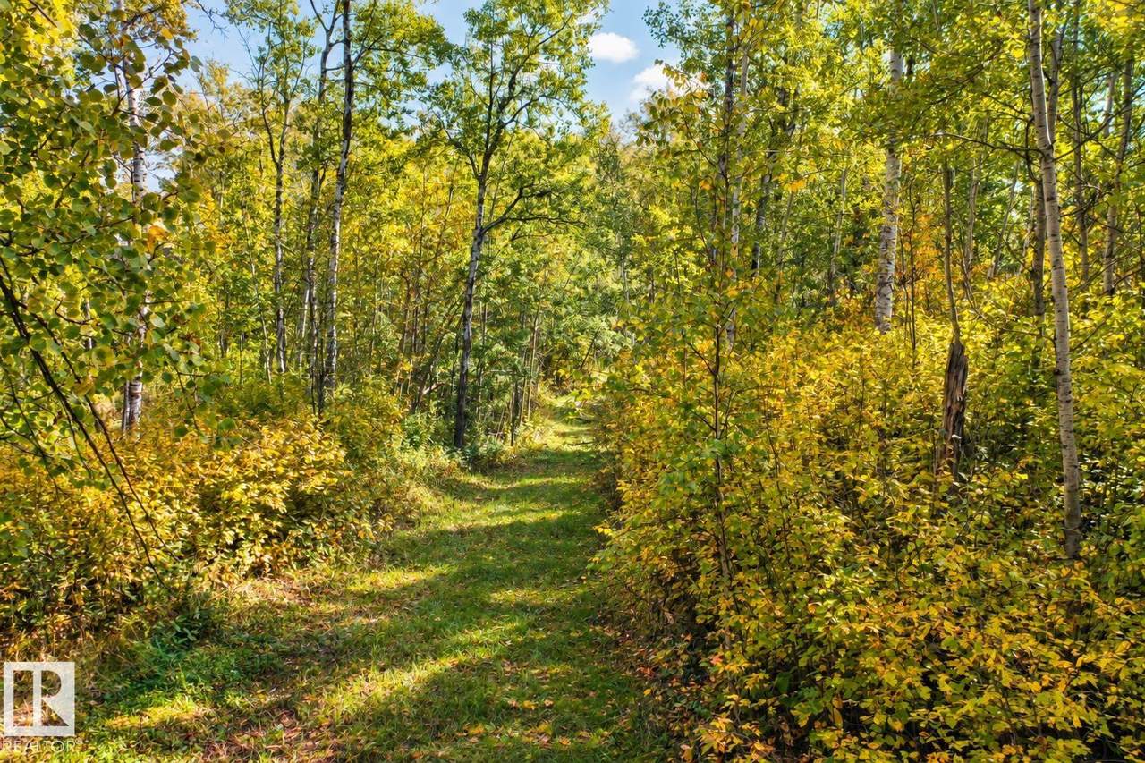 https://bt-photos.global.ssl.fastly.net/alberta/1280_boomver_1_E4509742-2.jpg