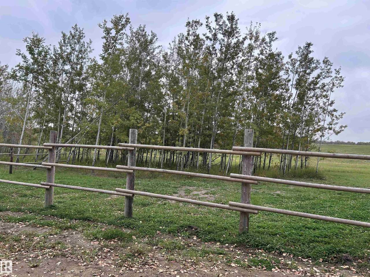 https://bt-photos.global.ssl.fastly.net/alberta/1280_boomver_1_E4510662-2.jpg