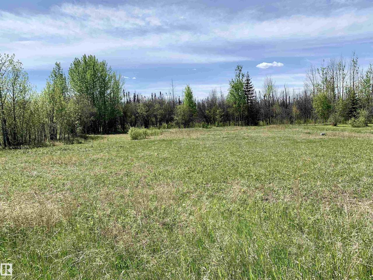 9002 Hwy 16 - Photo 1