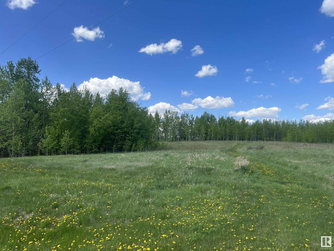 79 20120 TWP RD 515 - Photo 1