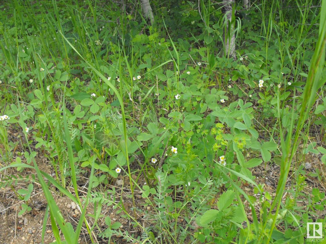 https://bt-photos.global.ssl.fastly.net/alberta/1280_boomver_2_E4302432-2.jpg
