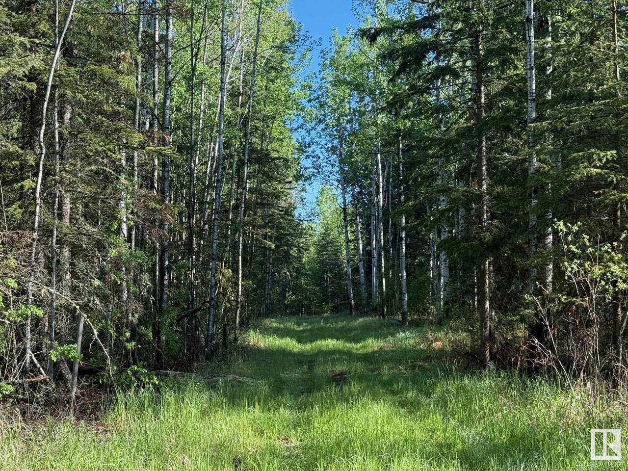 https://bt-photos.global.ssl.fastly.net/alberta/1280_boomver_2_E4438639-2.jpg