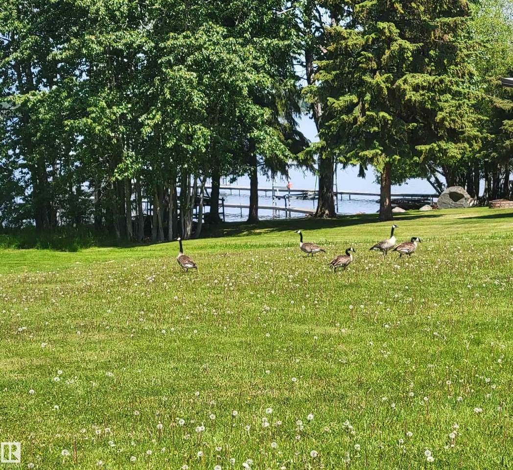 https://bt-photos.global.ssl.fastly.net/alberta/1280_boomver_2_E4440866-2.jpg
