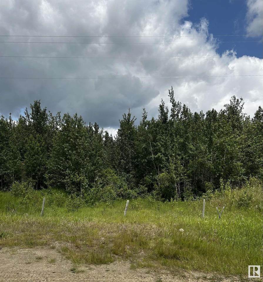 Township Rd 472 - Highway 2A - Photo 1