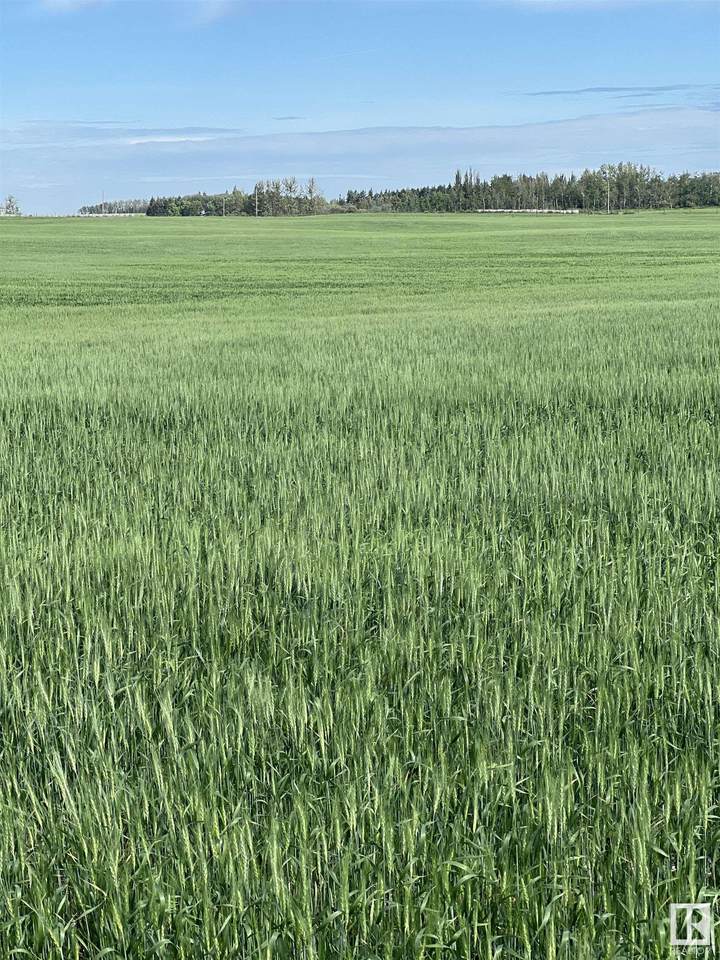 https://bt-photos.global.ssl.fastly.net/alberta/1280_boomver_2_E4447539-2.jpg