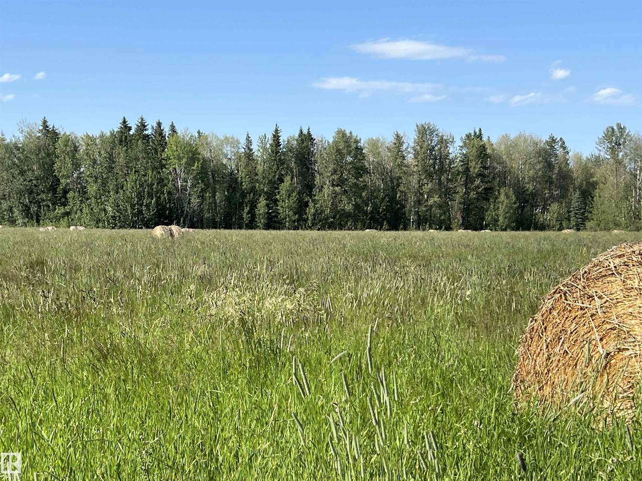 https://bt-photos.global.ssl.fastly.net/alberta/1280_boomver_2_E4478622-2.jpg