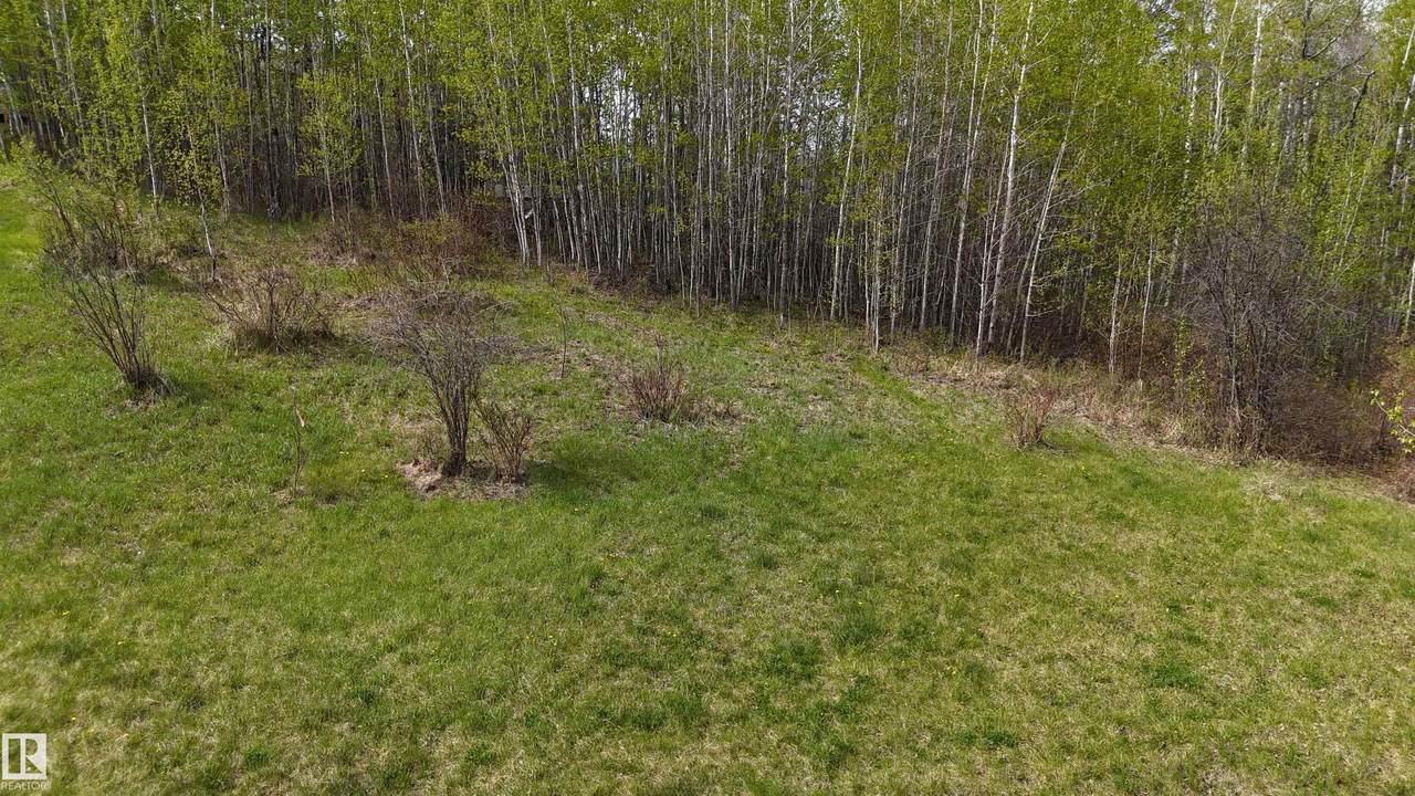 https://bt-photos.global.ssl.fastly.net/alberta/1280_boomver_2_E4480956-2.jpg