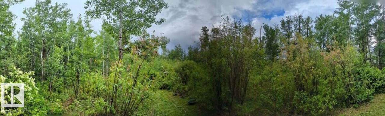 https://bt-photos.global.ssl.fastly.net/alberta/orig_boomver_2_E4488483-2.jpg