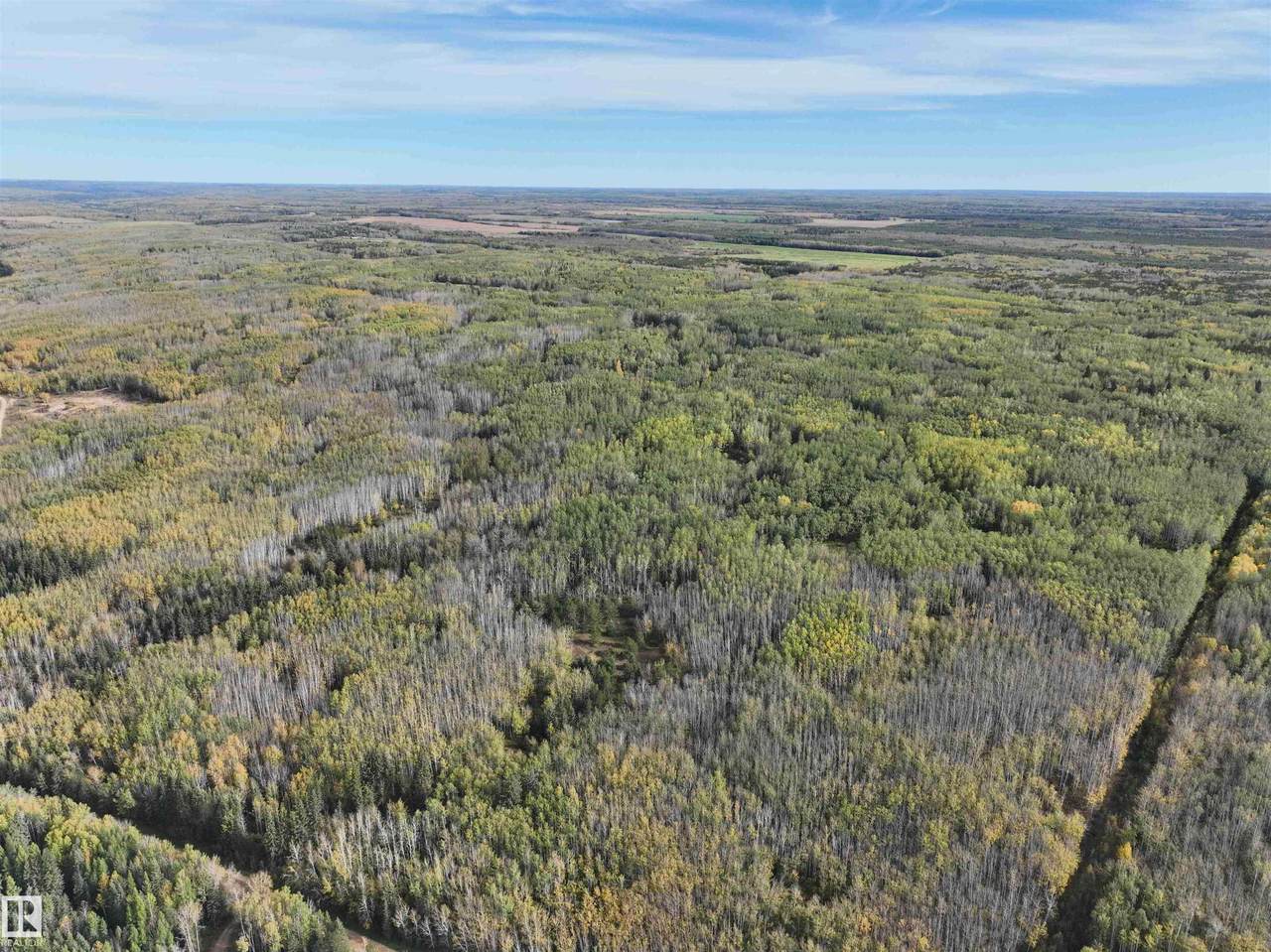 https://bt-photos.global.ssl.fastly.net/alberta/1280_boomver_2_E4495387-2.jpg