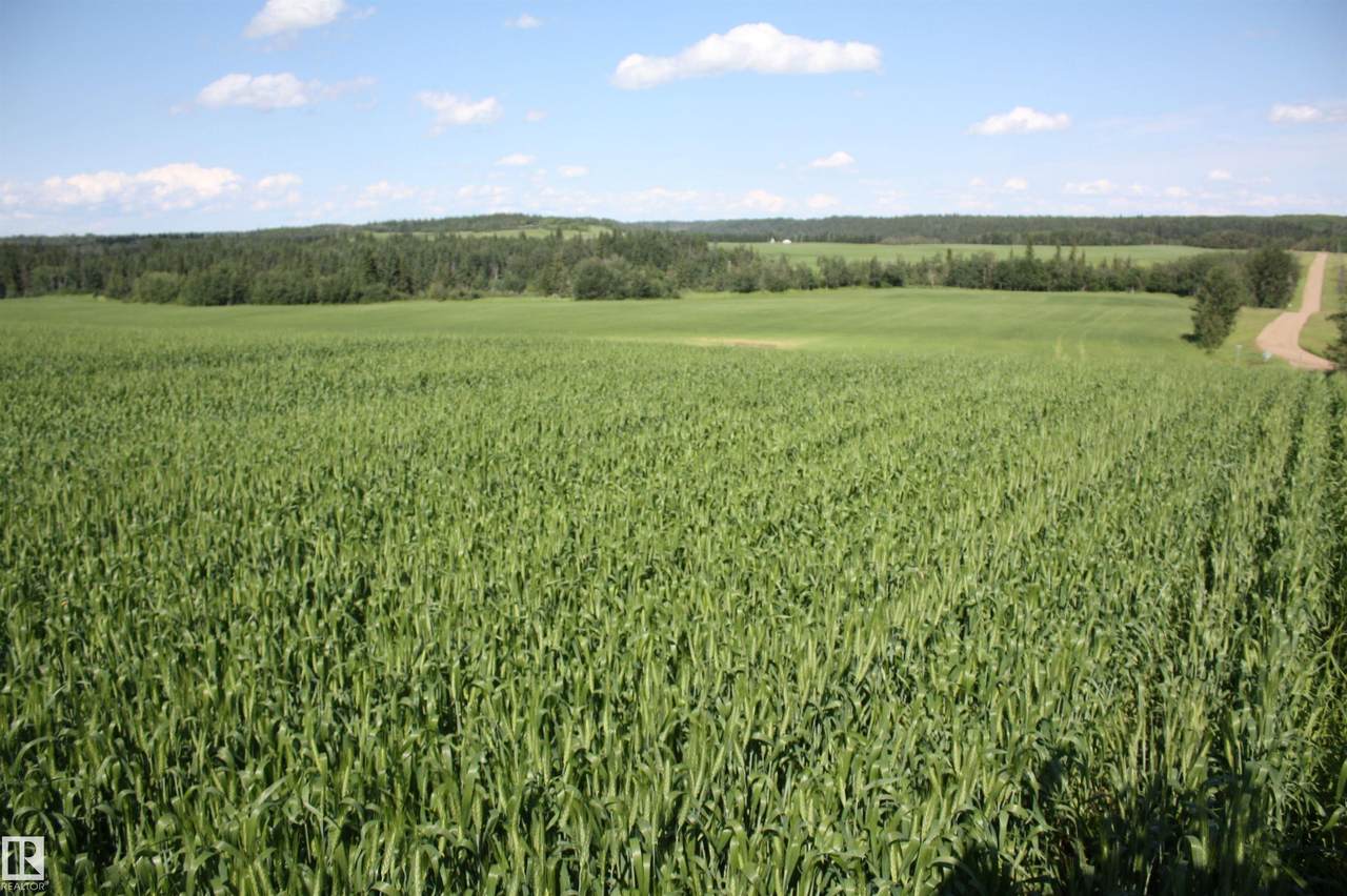 https://bt-photos.global.ssl.fastly.net/alberta/1280_boomver_2_E4498493-2.jpg