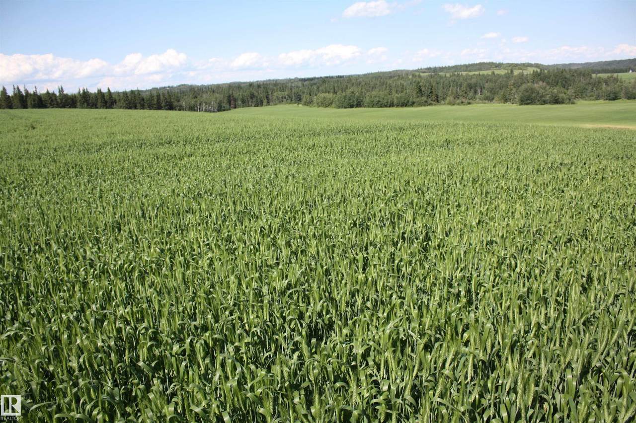 https://bt-photos.global.ssl.fastly.net/alberta/1280_boomver_2_E4498493-2.jpg