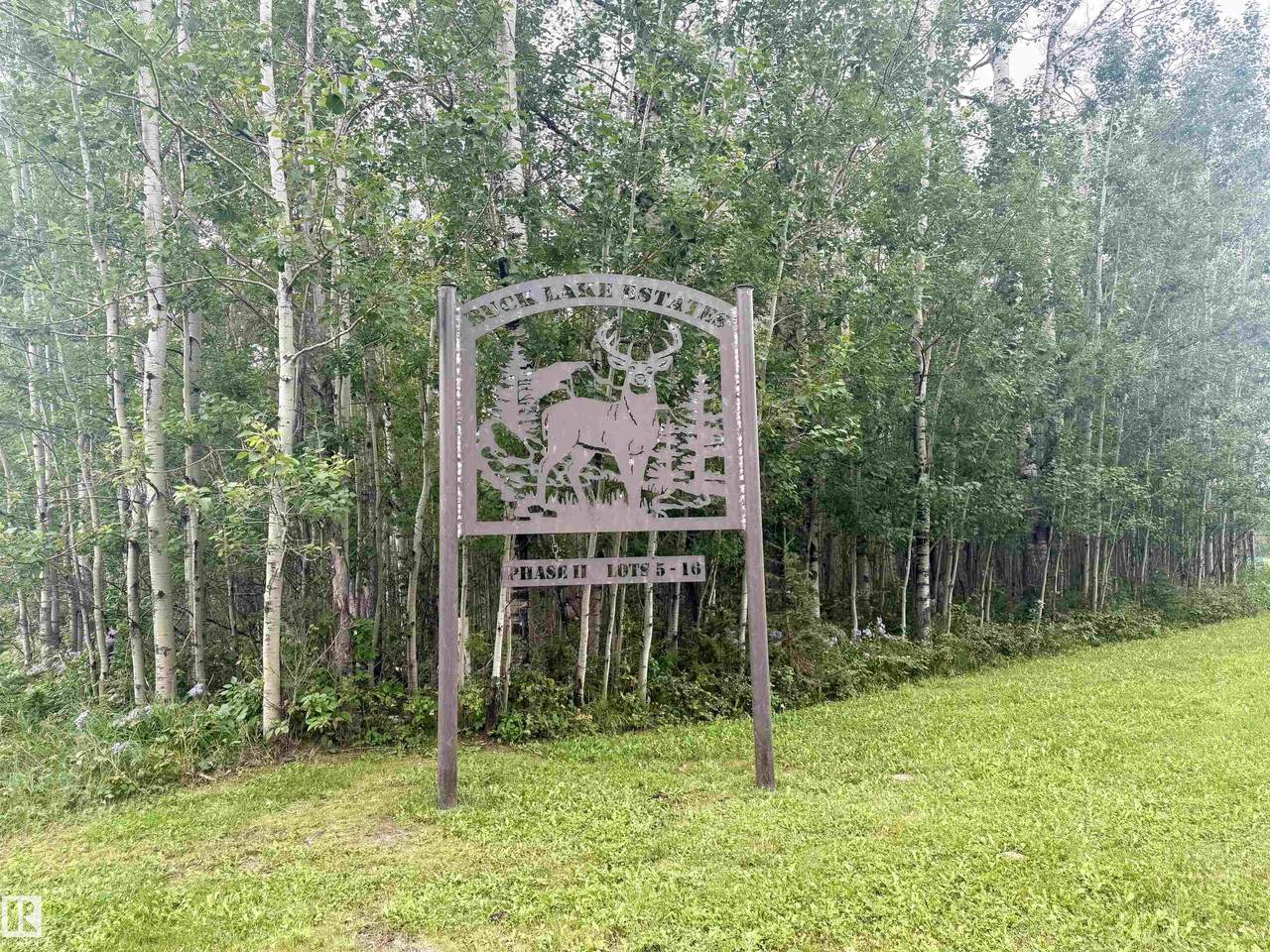 Lot 7 Buck Lake Estates - Photo 1