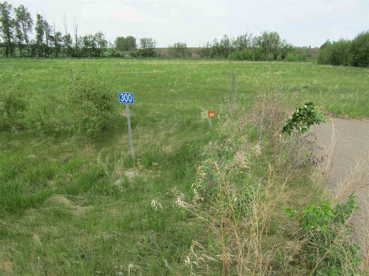 300 49320 Rge Rd 240A - Photo 1