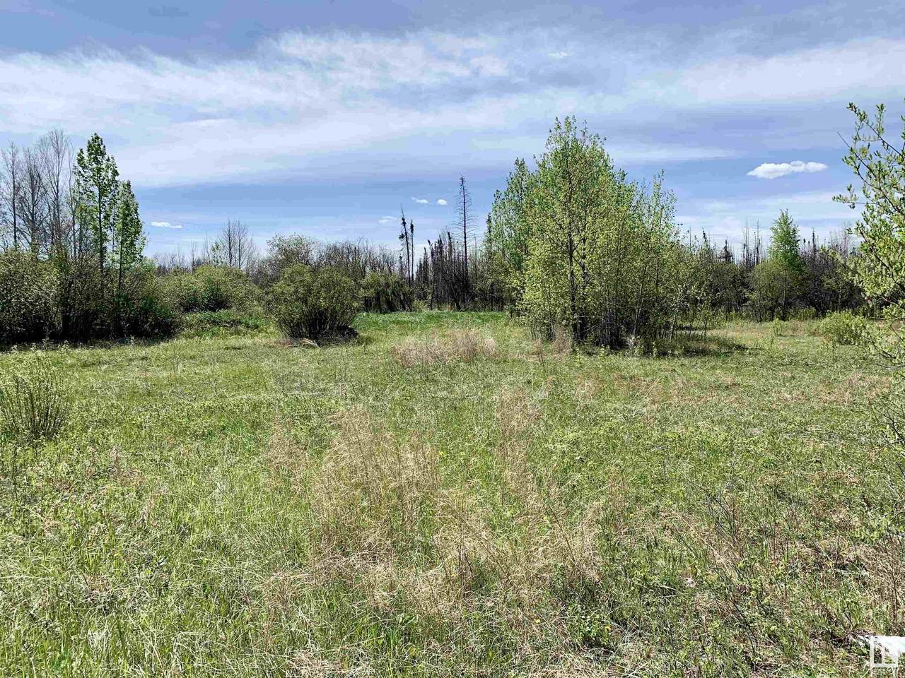 https://bt-photos.global.ssl.fastly.net/alberta/1280_boomver_7_E4378122-2.jpg