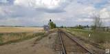 2503 227 Avenue - Photo 3