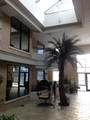 10142 111 Street - Photo 5