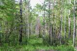 Sec HWY 881 - Photo 8