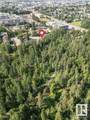 504 Spruce Glen - Photo 56