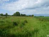 Hwy 613 Rge Rd 235 - Photo 9