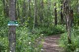 51123 Rge Road 222 - Photo 13