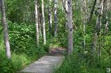 51123 Rge Road 222 - Photo 14