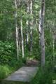 51123 Rge Road 222 - Photo 15
