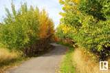 7506 May Common - Photo 40
