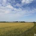 10512 Atim Road - Photo 3