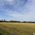 10512 Atim Road - Photo 4