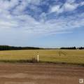 10512 Atim Road - Photo 9