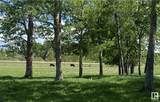 5100 Hwy 633 - Photo 13
