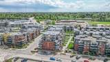 141 Festival Way - Photo 49
