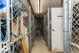 11308 130 Avenue - Photo 42
