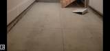 2710 66 Street - Photo 19