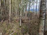 5520 Hwy 633 - Photo 28