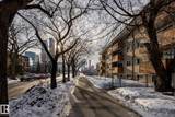 10620 104 Street - Photo 23