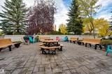 9008 99 Avenue - Photo 41