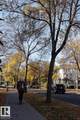 11217 103 Avenue - Photo 3