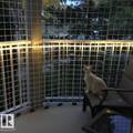 11408 108 Avenue - Photo 16