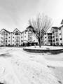 13625 34 Street - Photo 2