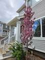 2121 Haddow Drive - Photo 65