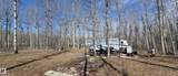 13070 464 TWP RD - Photo 9