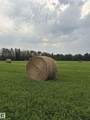 5109 Hwy 616 - Photo 12