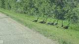 2417A Twp. Rd. 530 - Photo 3